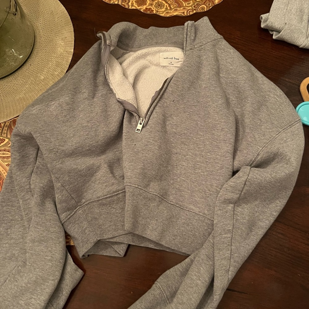 Aritzia sweatshirt